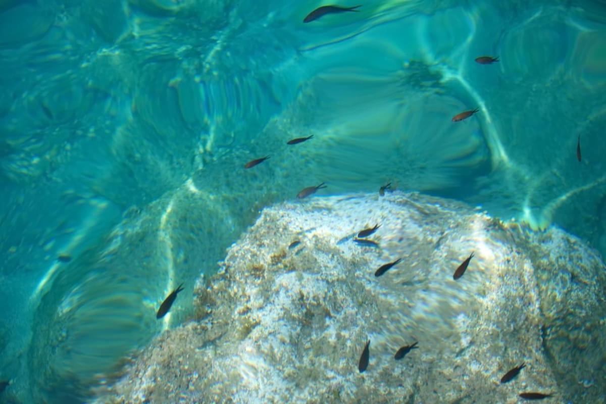 Seaview Luxury Villa Jacuzzi & Pool! 2 Min Beach Protaras Esterno foto